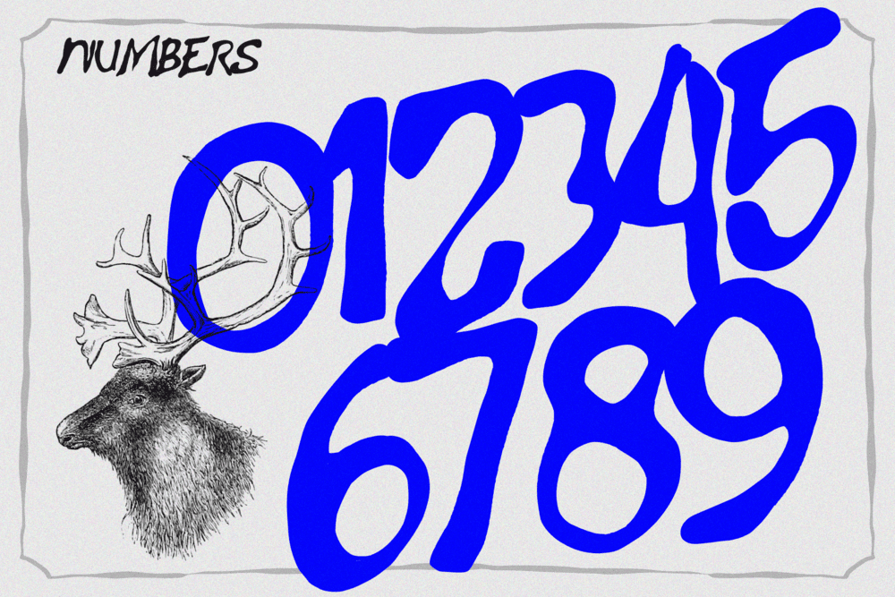 GOWAK - Raw Expressive Font