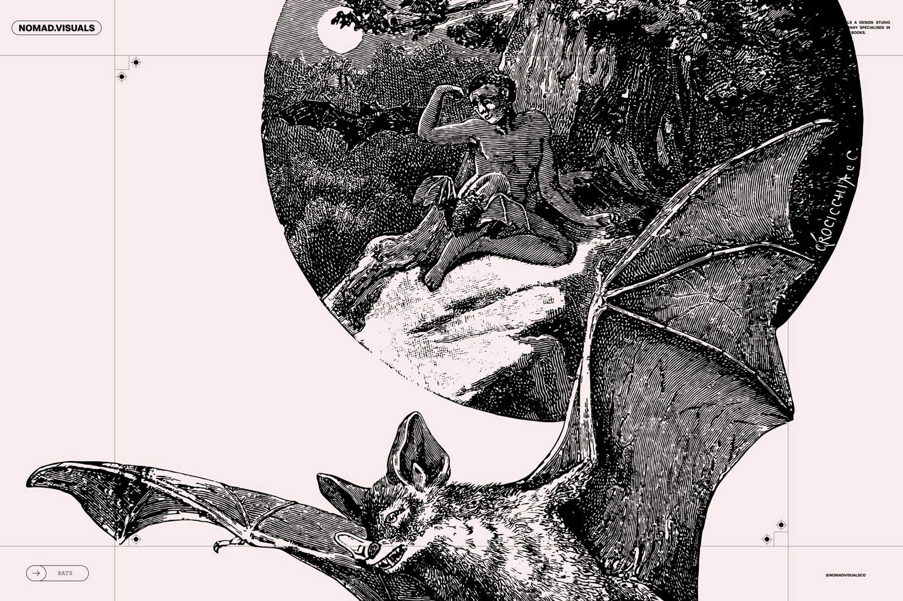 Bats of the World - secret-cache