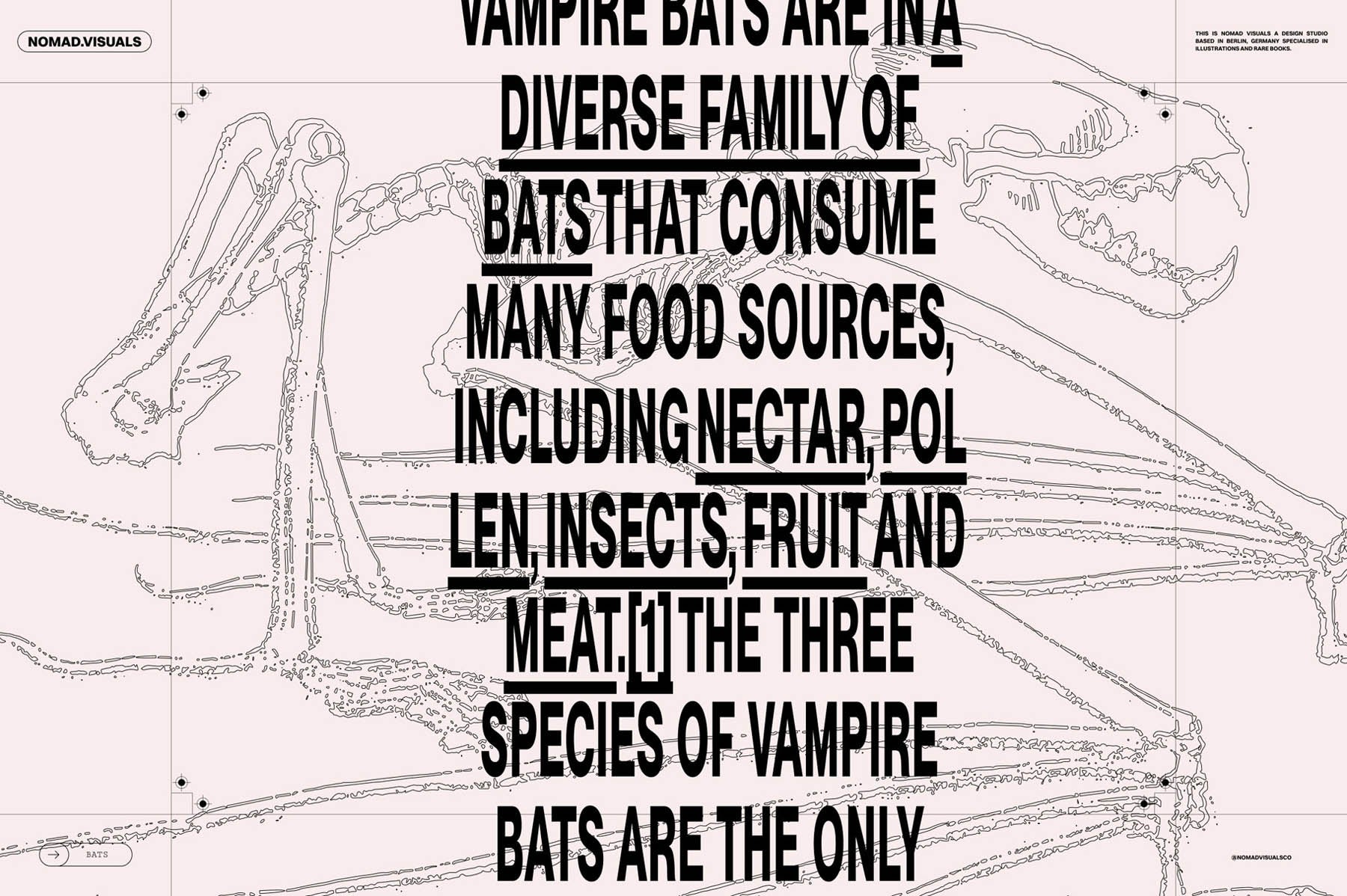 Bats of the World - secret-cache