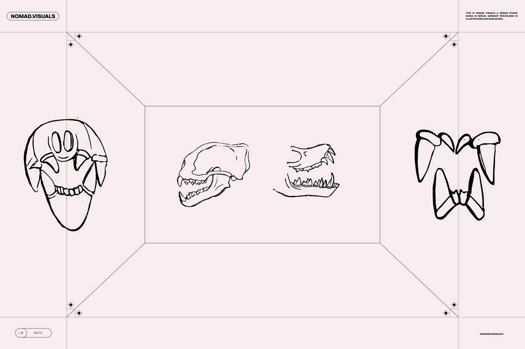 Bats of the World - secret-cache