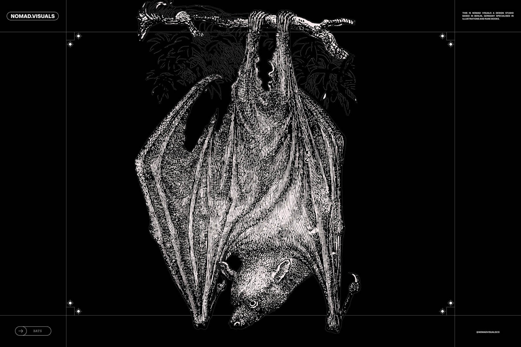 Bats of the World - secret-cache