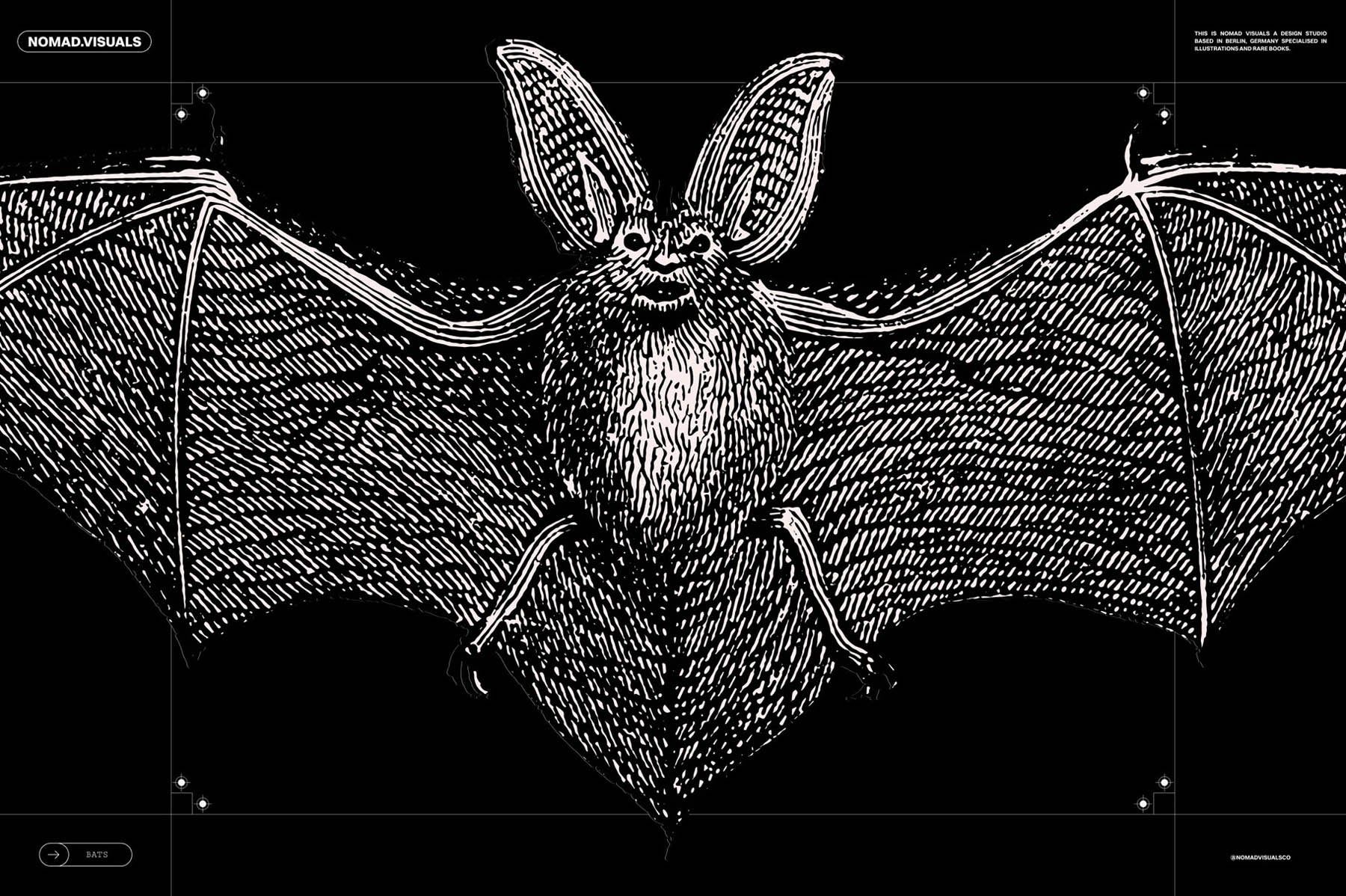 Bats of the World - secret-cache