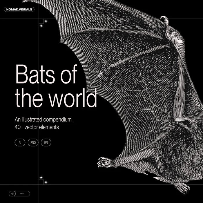 Bats of the World - secret-cache