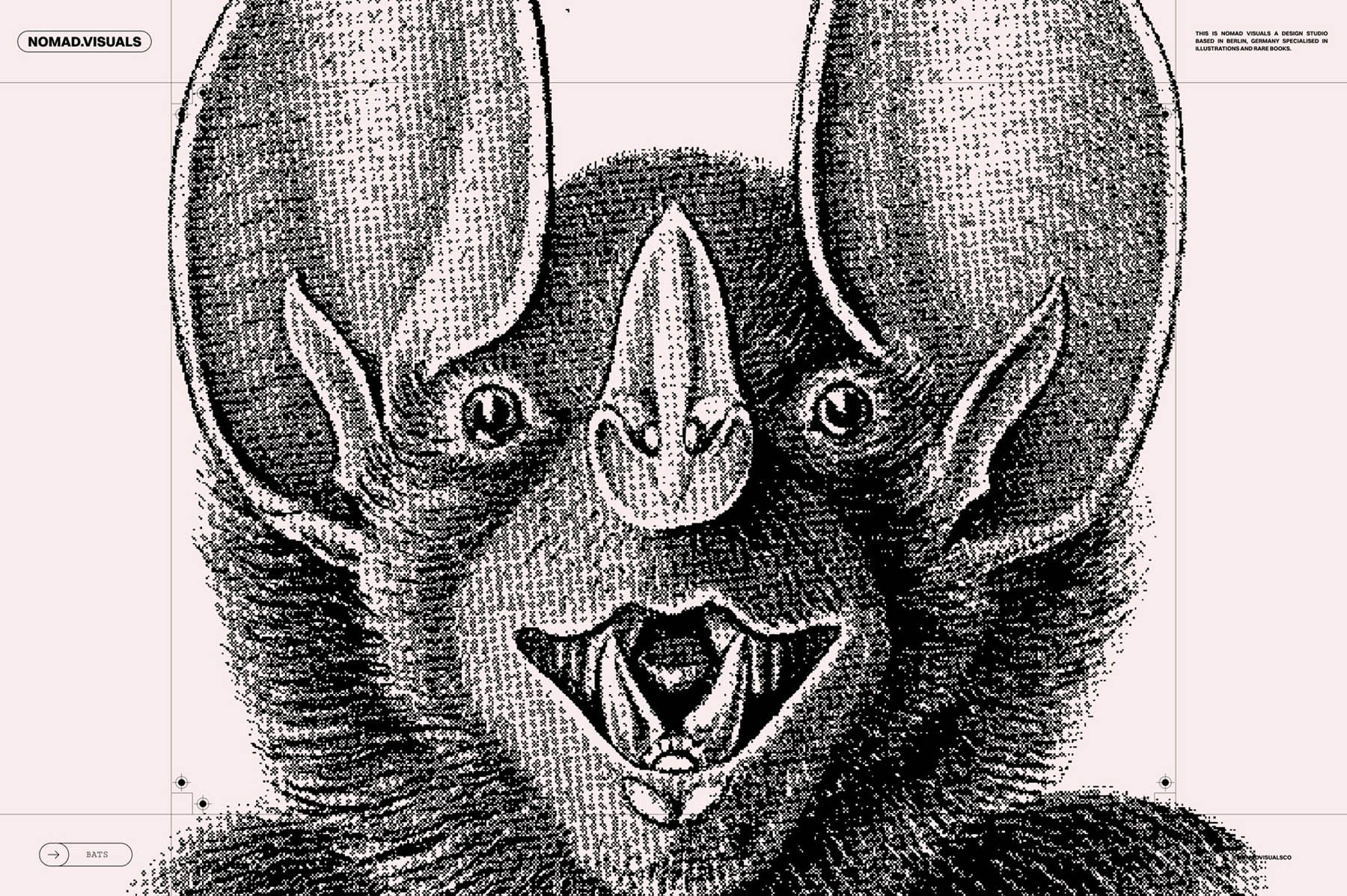 Bats of the World - secret-cache