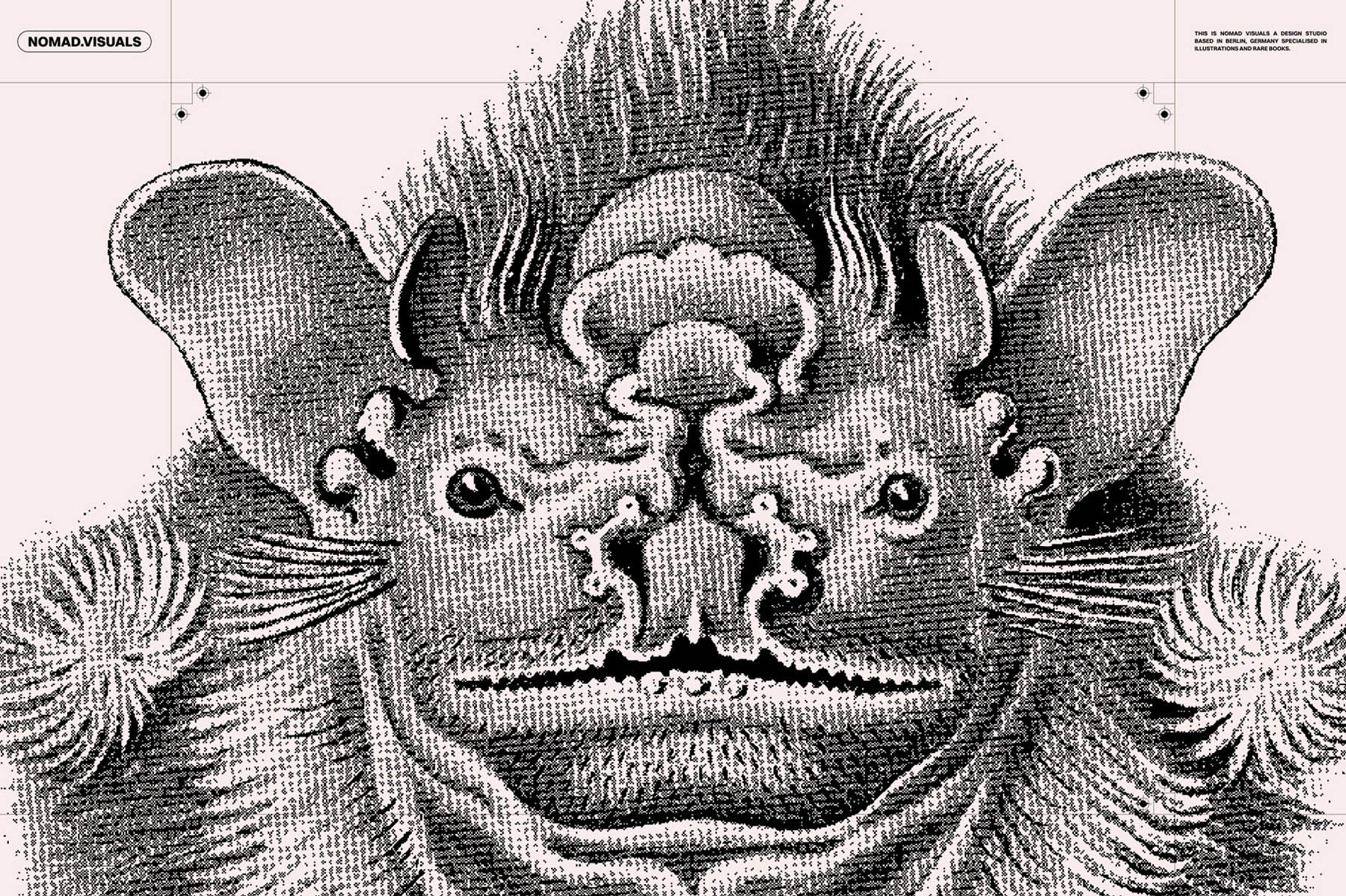 Bats of the World - secret-cache
