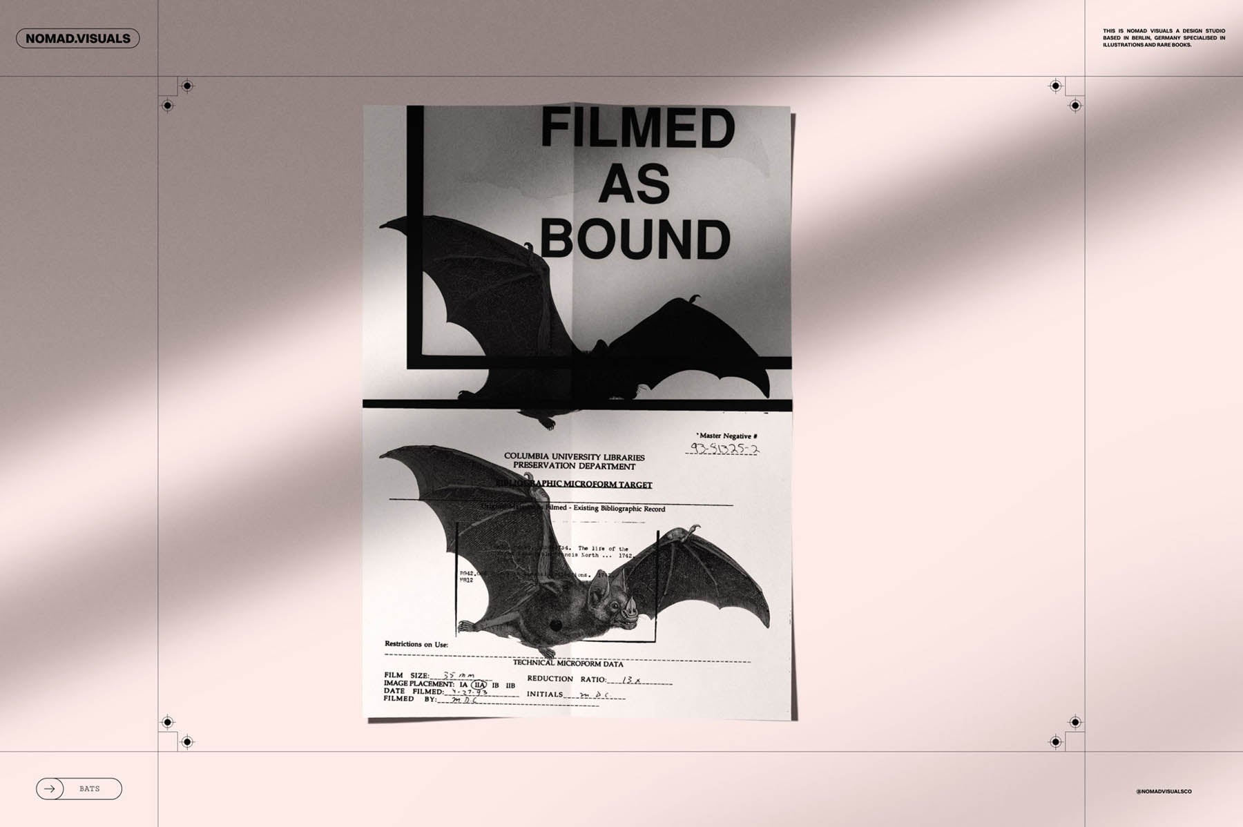 Bats of the World - secret-cache