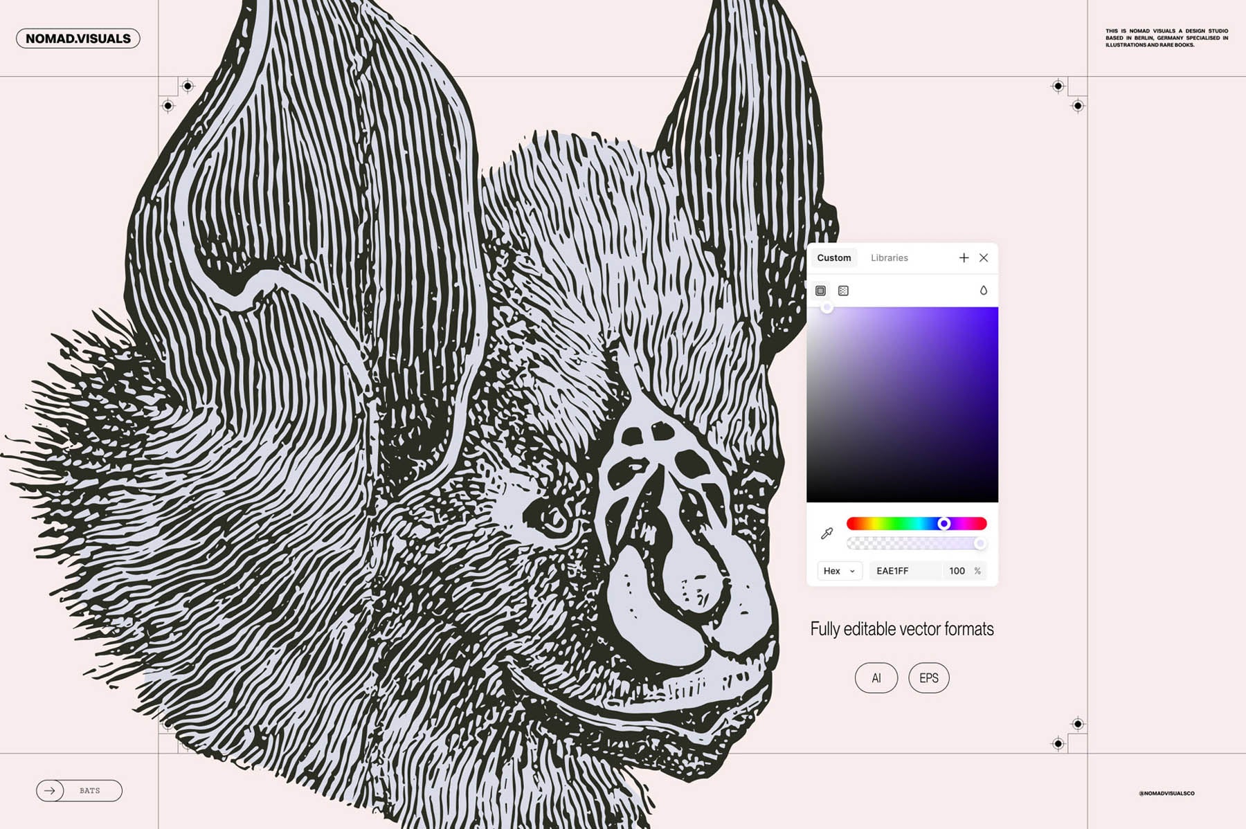 Bats of the World - secret-cache