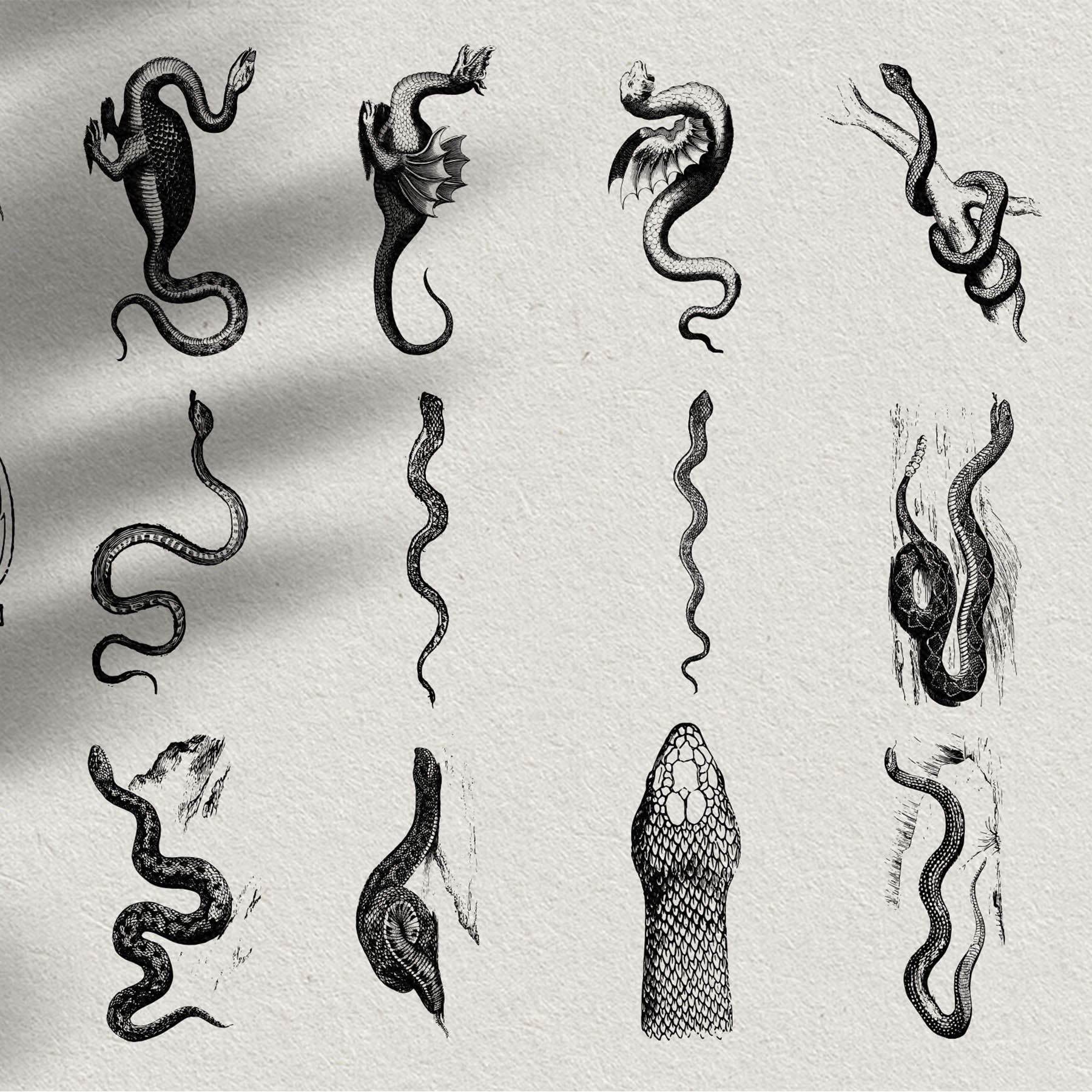 Snakes & Dragons - secret-cache